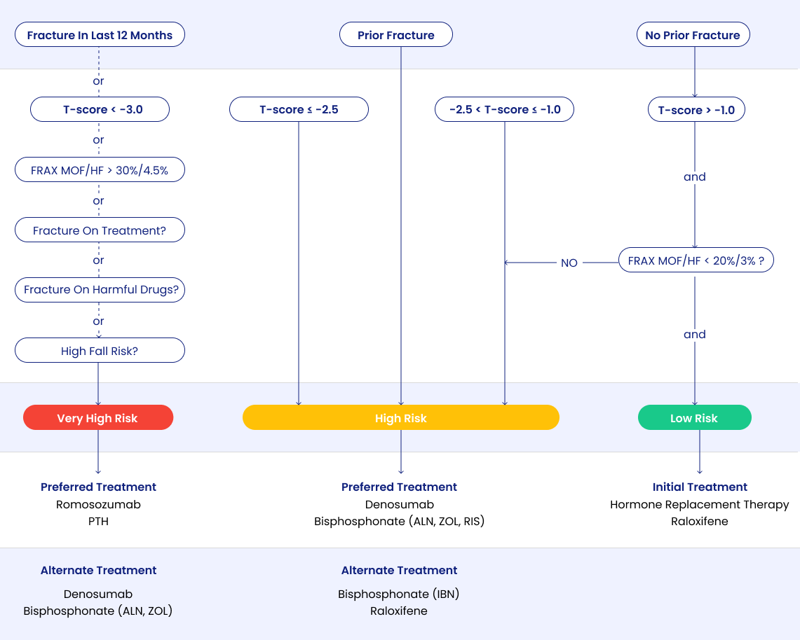 Common-Understanding-of-Fracture-Risk-For-HCP-1 – The Osteoporosis ...